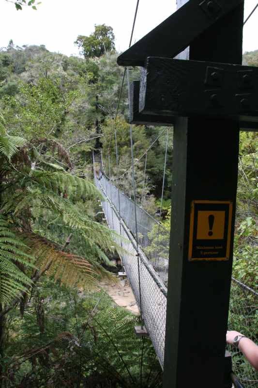 Nieuw-Zeeland 2011 - 1017